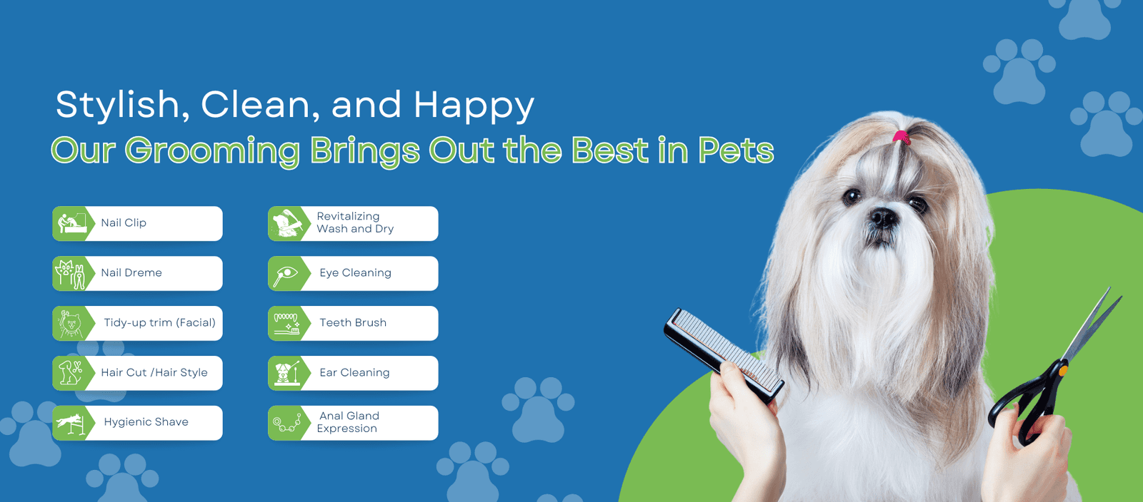Posh Pamper Mobile Pets Grooming pet grooming